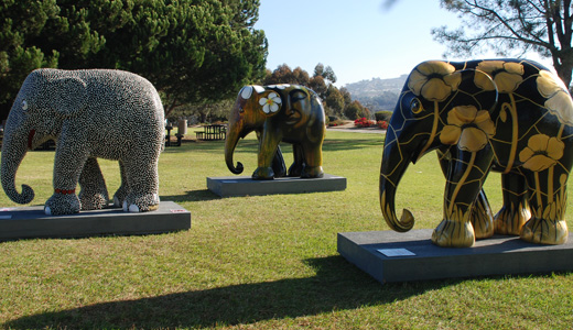 favorite 3 elephants