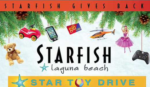 Starfish Toy Drive