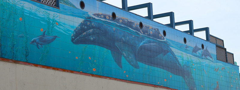 Wyland Turns 60, Throws Painting Party on Sunday