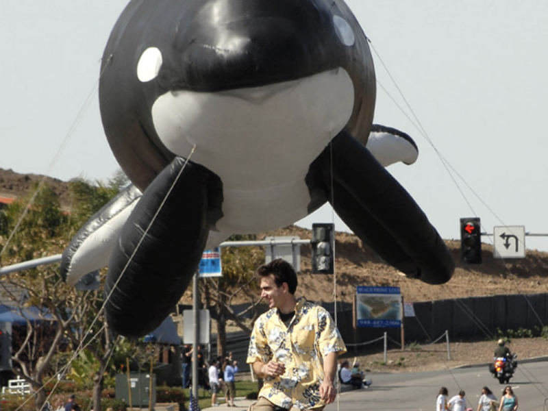 2022 Dana Point Festival of Whales Parade & Festivities